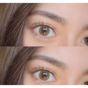 RēVIA Pale Mirage 1 Day 10片